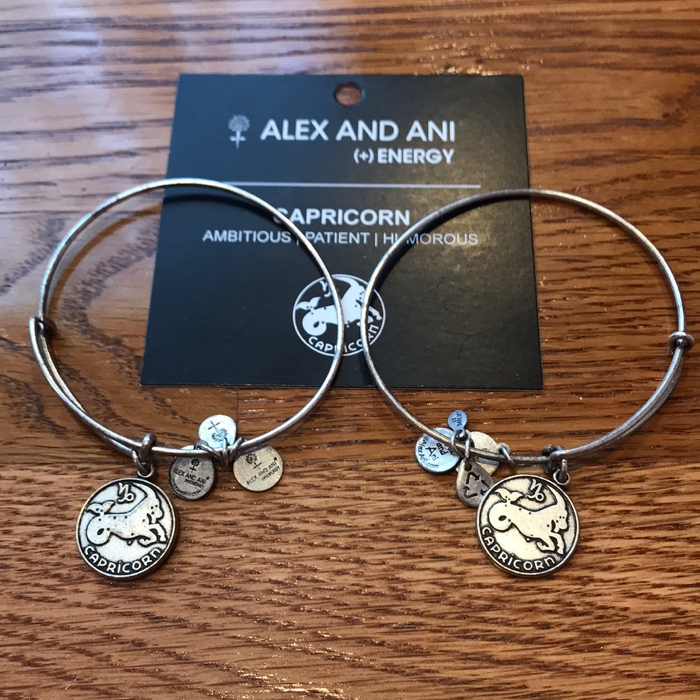 CAPRICORN Alex and Ani bracelet